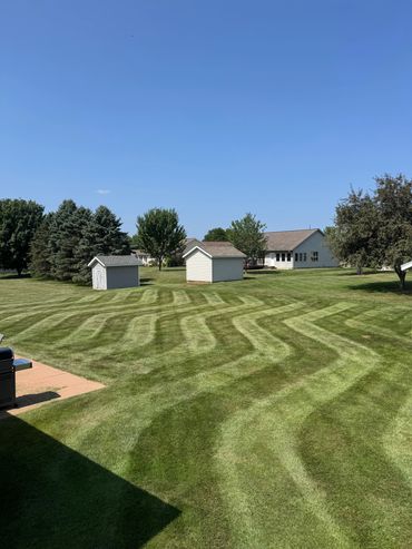 Large lawn with zigzag mowing pattern and two small sheds.