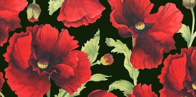 red poppy floral illustration on black