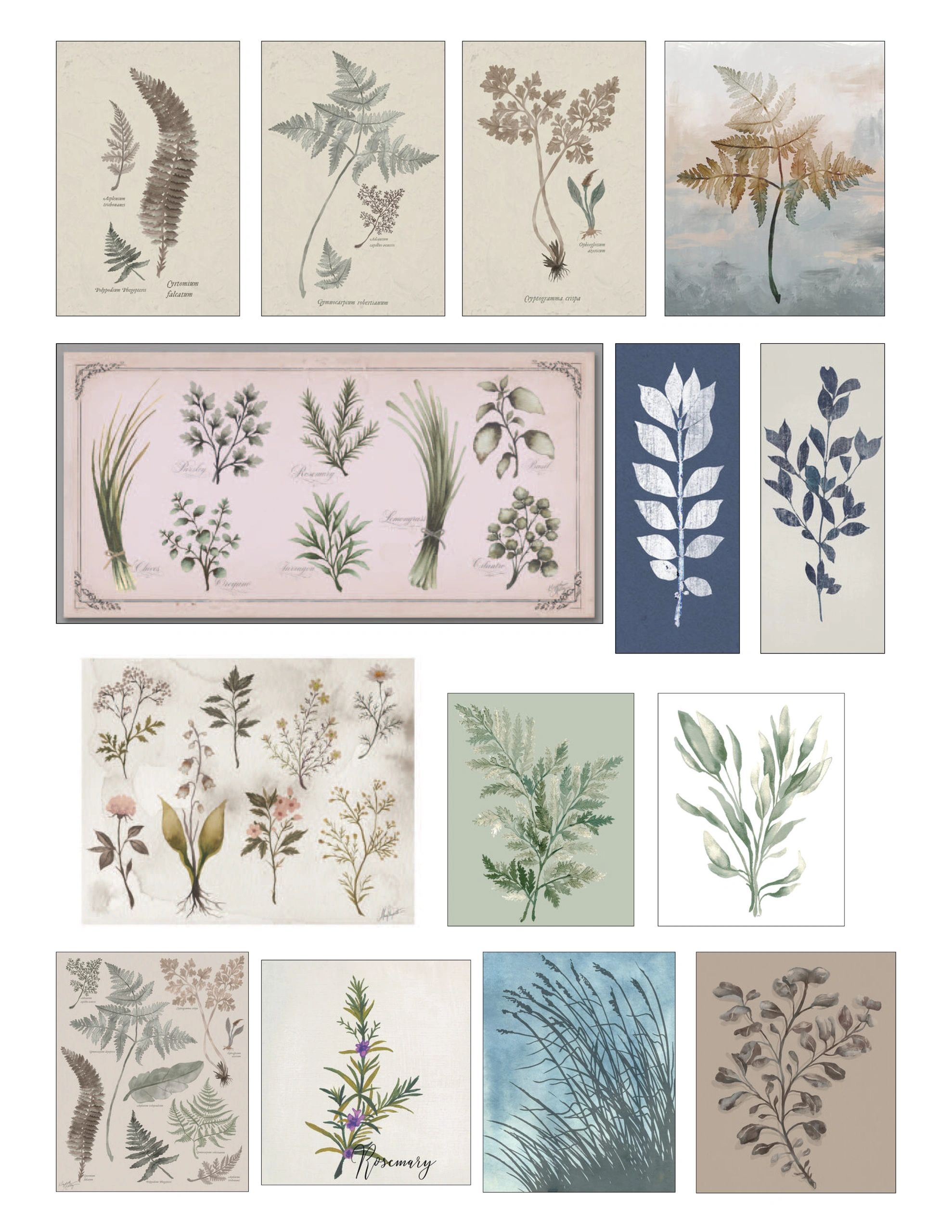 Collage of botanical illustrations and paintings of leaves and herbs.