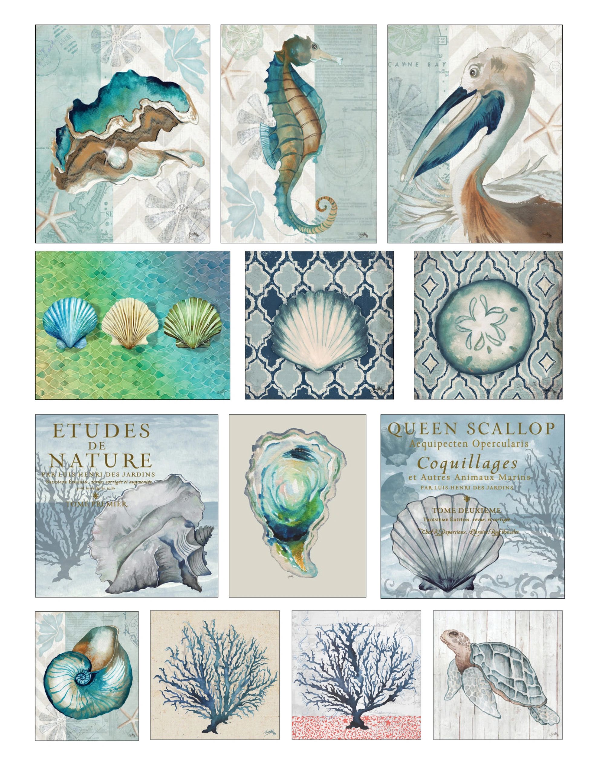 Vintage marine life illustrations collage with seashells, seahorse, pelican, coral, and turtle.