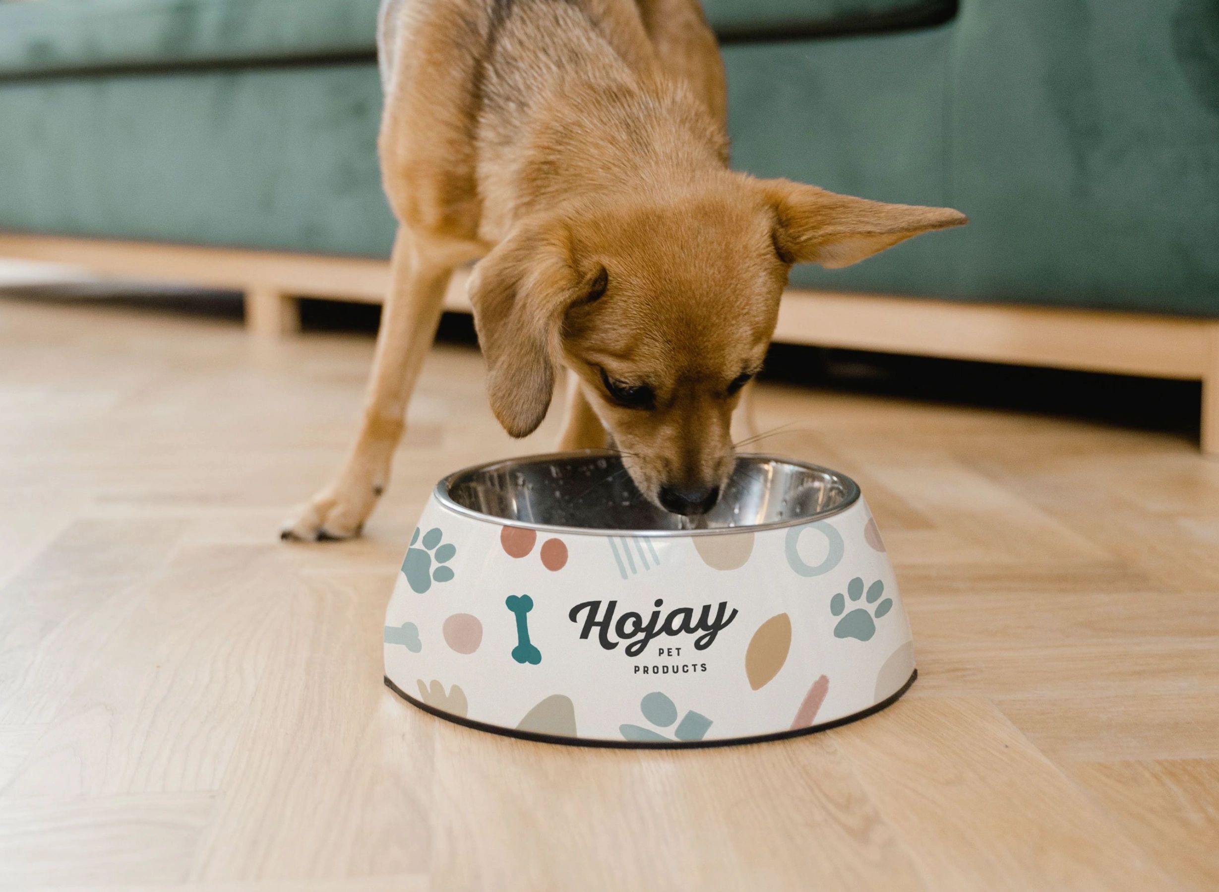 HoJay Pet Products supplying convenience stores nationwide