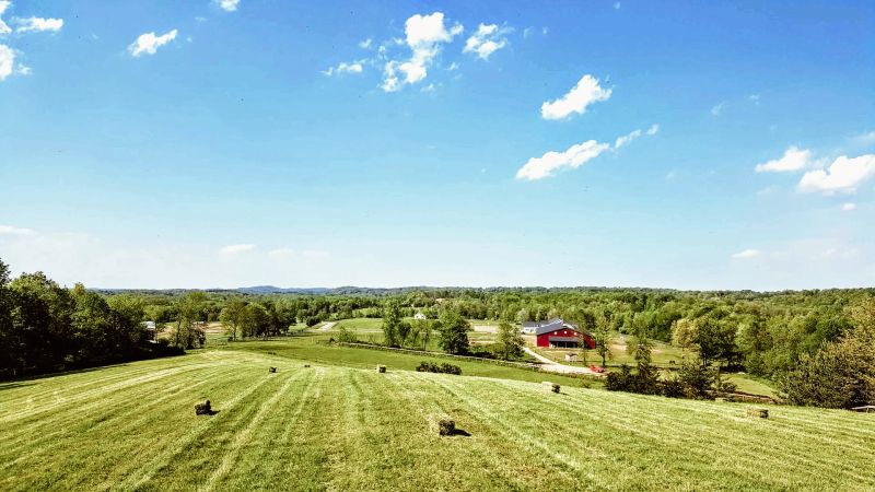 Liberty Farms