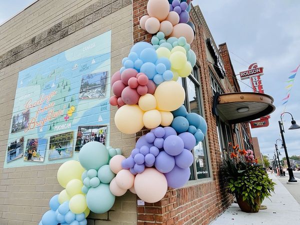 Multi-Colored Organic Balloon Garland 