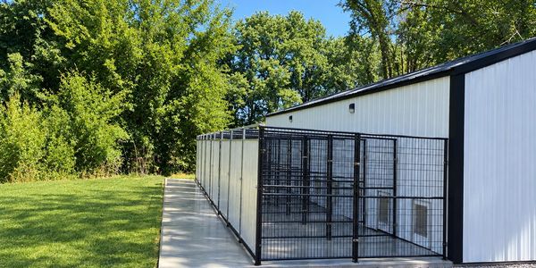 Outdoor metal dog kennels next to a white building.