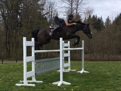 Person jumping over a fence on a horse.
