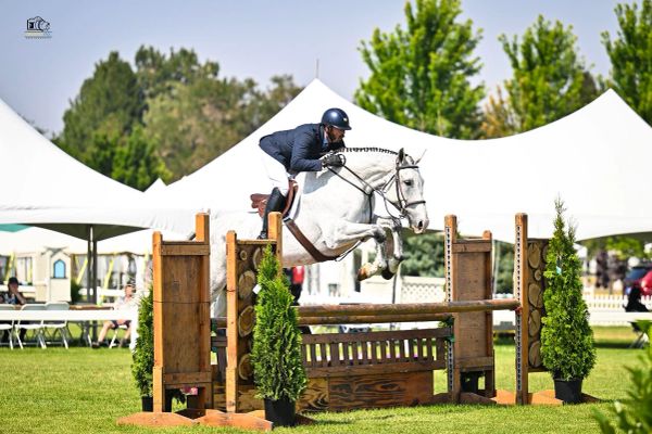 Rider jumps white horse over obstacle in equestrian event.