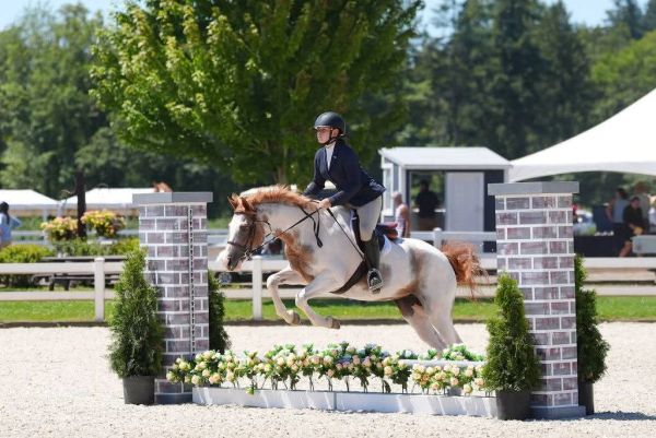 Rider jumping a horse over an obstacle in an equestrian event.