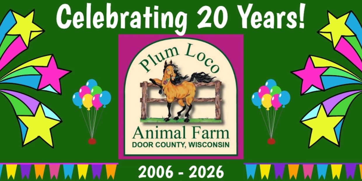 Celebrating 20 years of Plum Loco Animal Farm in Door County, Wisconsin.