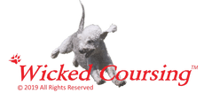 Wicked Coursing