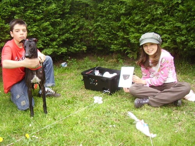 Home Systems for Dogs
