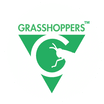 Grasshoppers - An Eco-Work Space