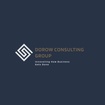 dorowconsultinggroup.com