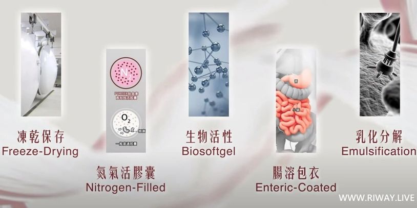 30個 リーウェイ【正規品】第6世代 鹿プラセンタ