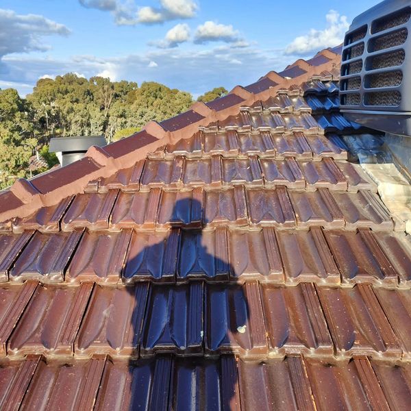 Shadow of a person on a glossy tiled roof under a partly cloudy sky.