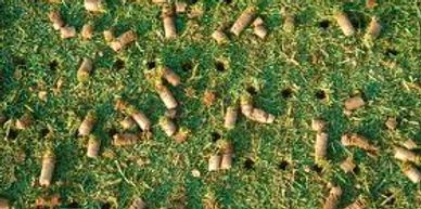 Free Aeration Quote