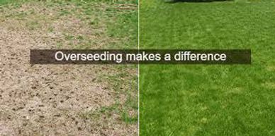 Overseeding