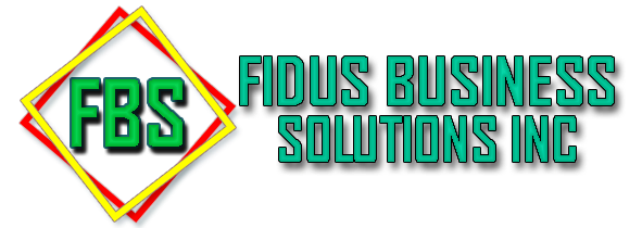 FIDUS BUSINESS SOLUTIONS INC