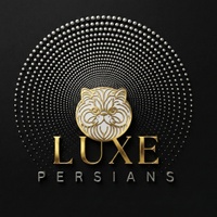 Luxe Persians