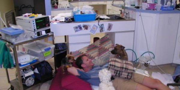 Man lying on the floor with three dogs in a medical setting.