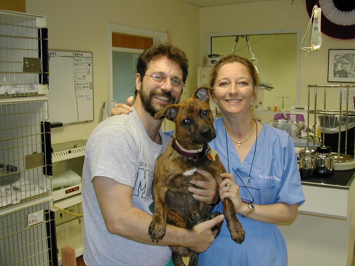 Man and woman holding a dog in a veterinary clinic.