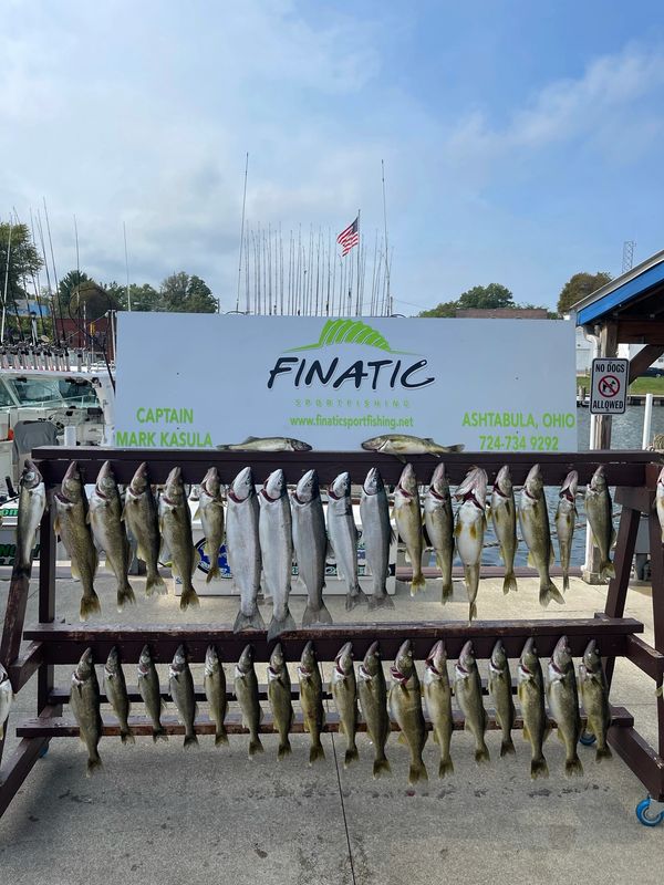 Latest Reviews of Four Aces Sport Fishing – Ashtabula - FishingBooker