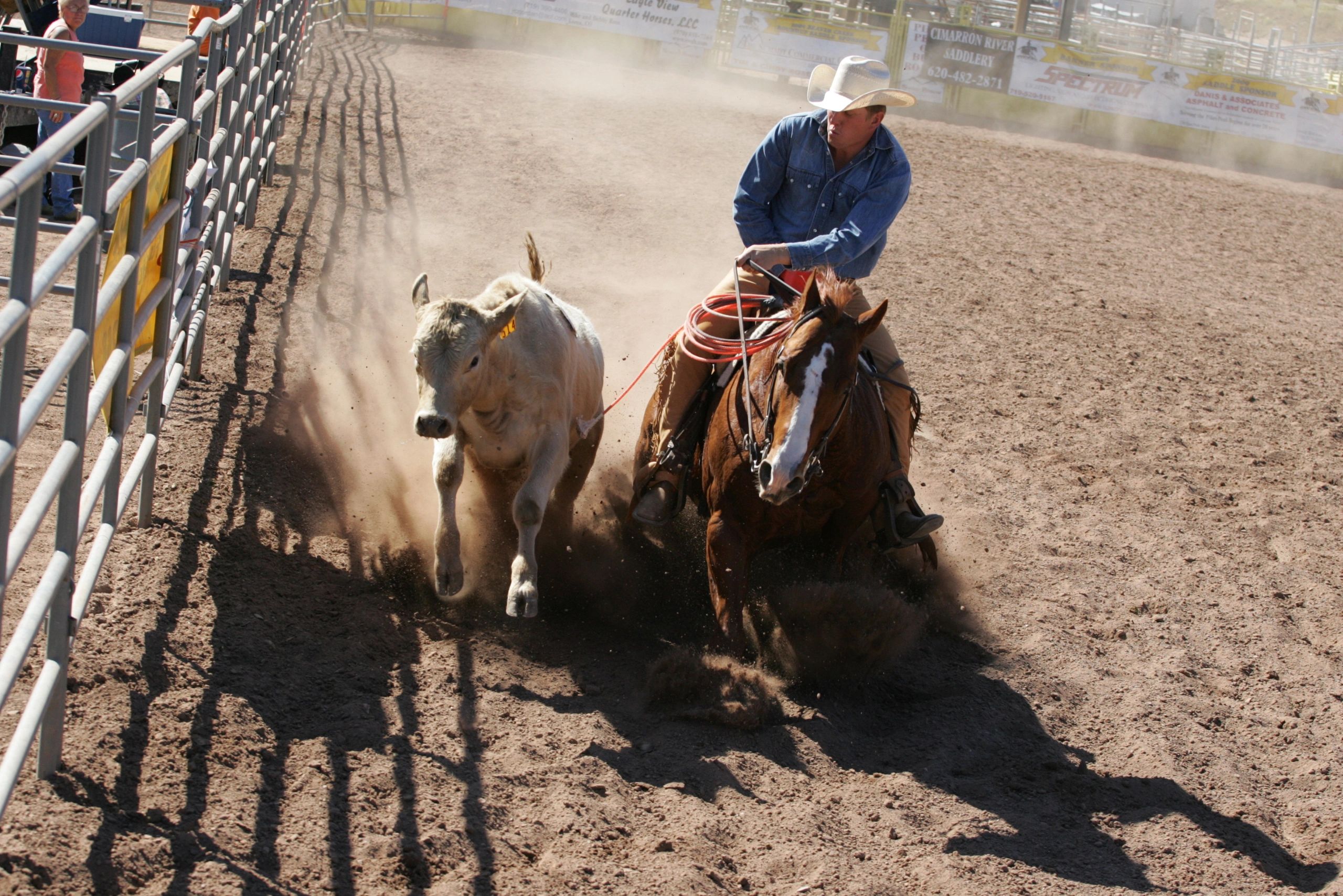 Central Montana Reined Cow Horse Association - Home