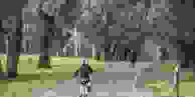 Painter Wheelers Hill 
Interior Painter Wheelers Hill 
Exterior Painter Wheelers Hill
