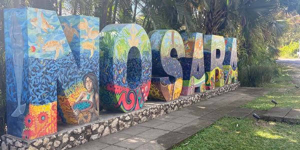 Colorful NOSARA sign with artistic murals in a lush outdoor setting.
