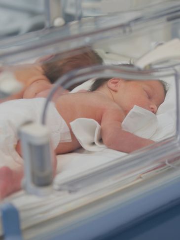 Newborn babies resting in a neonatal incubator.