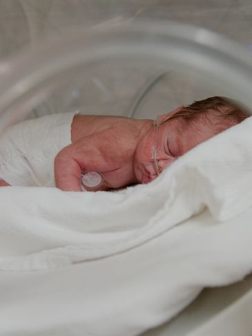 A premature baby resting in an incubator with oxygen support.