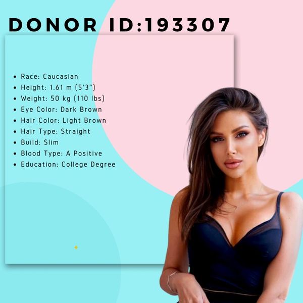 egg donor