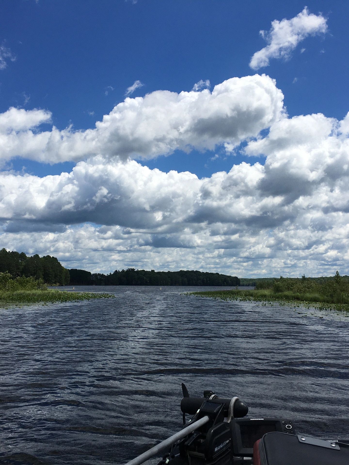 Gweryd Lakes Fishing - Wellwild