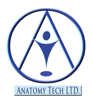 www.anatomytechtt.com
