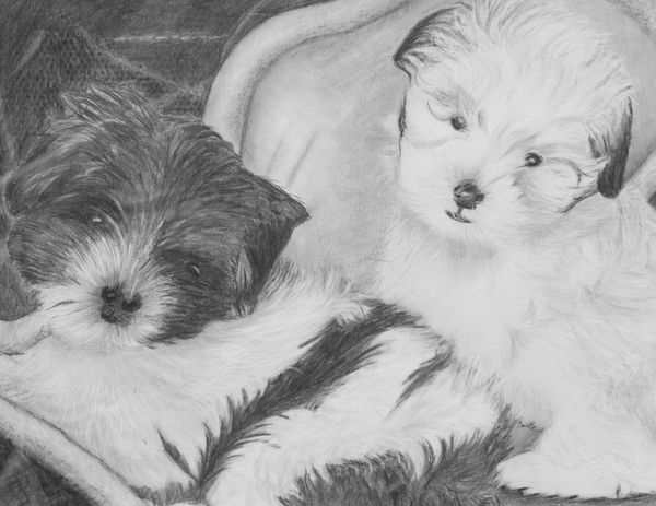 Morris Sisters, 2018 [14x11 graphite/ paper]  (Sold)