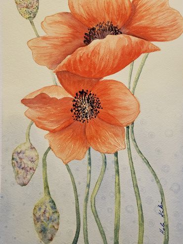 Orange poppies, 2019 [11x14 watercolor/paper] 