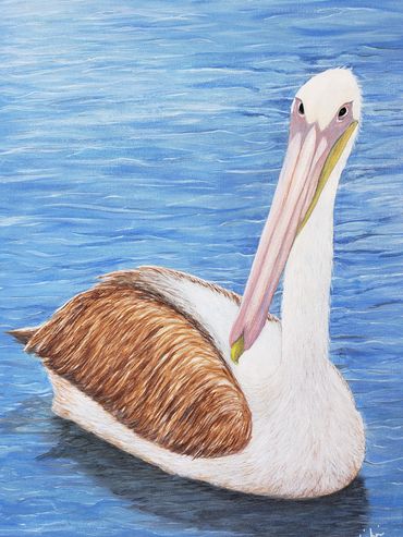 Pelican Strut, 2019 [16x20 acrylic] 