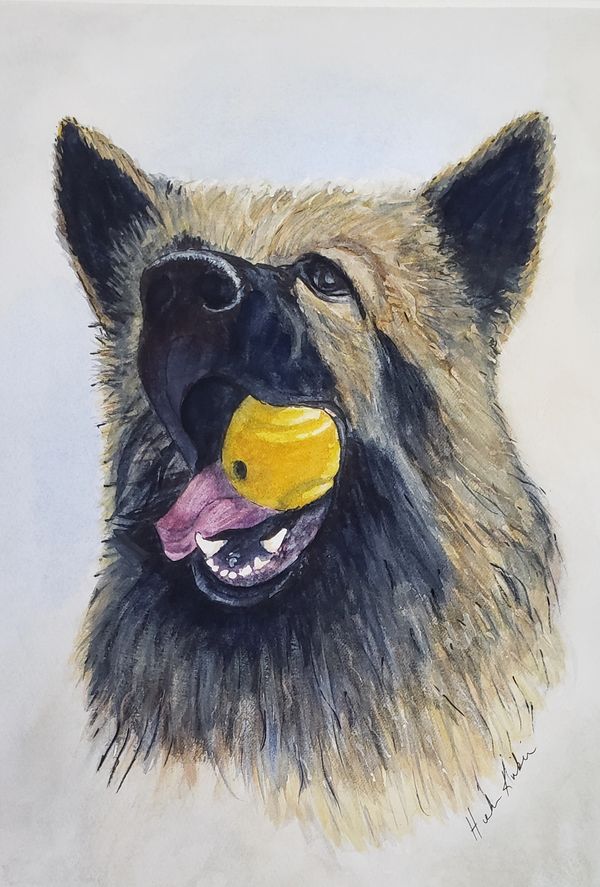 Porthos, 2020 [14x11 watercolor / paper]  (Sold)