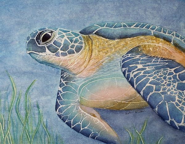 Sea Turtle in Grass, 2020 [14x11 watercolor] 
