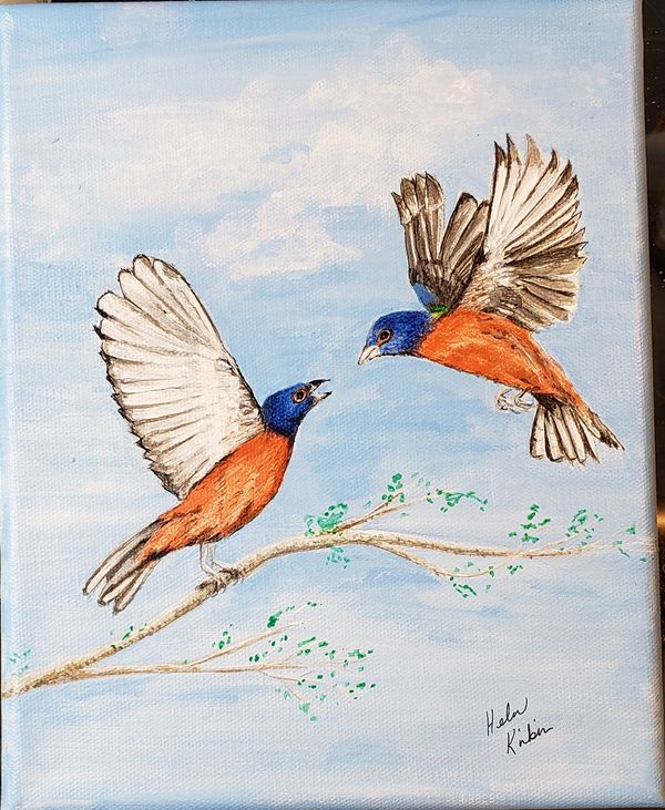 Painted Buntings, 2020 [8x10 acrylic] 