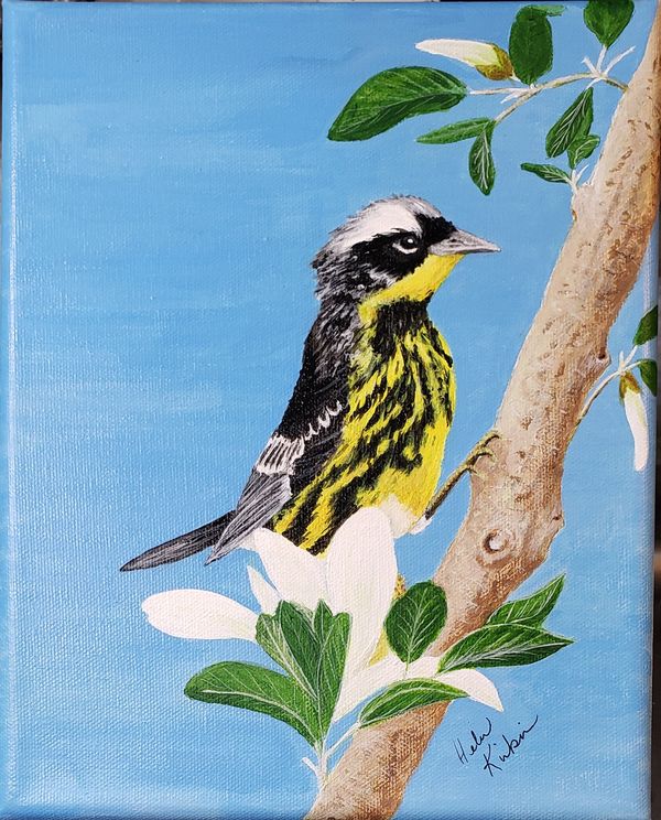 Magnolia Wren, 2020 [8x10 acrylic] 