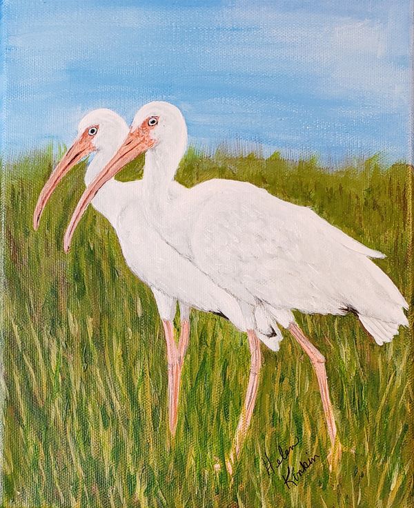 Ibis, 2020 [8x10 acrylic]  SOLD