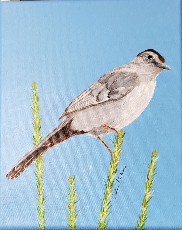 Cat-Bird, 2020 [8x10 acrylic] 