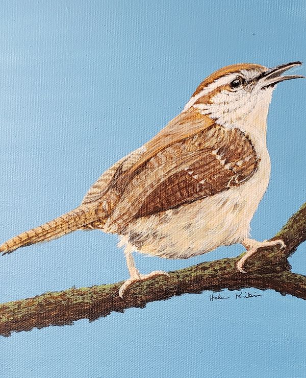 Carolina Wren, 2020 [8x10 acrylic] 