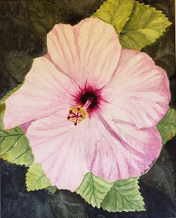 Hibiscus, 2021 [8x10 Watercolor] 