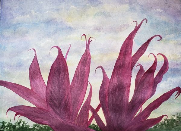 Red Ti, 2021 [15x11 Watercolor] 