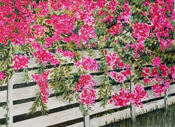 Flowering Fence the 3rd, 2021 [16x12 Watercolor] 