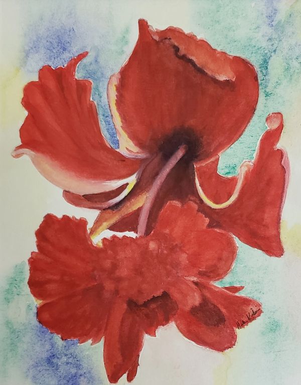 Double Hibiscus 1, 2021 [11x14 Watercolor] 