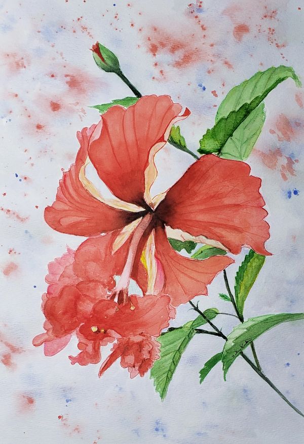 Double Hibiscus 2, 2021 [11x14 Watercolor] 