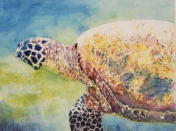 Henry the Eighth (turtle), 2021 [22x15 Watercolor]  (Honorable Mention Fort Myers Beach Winter Show)