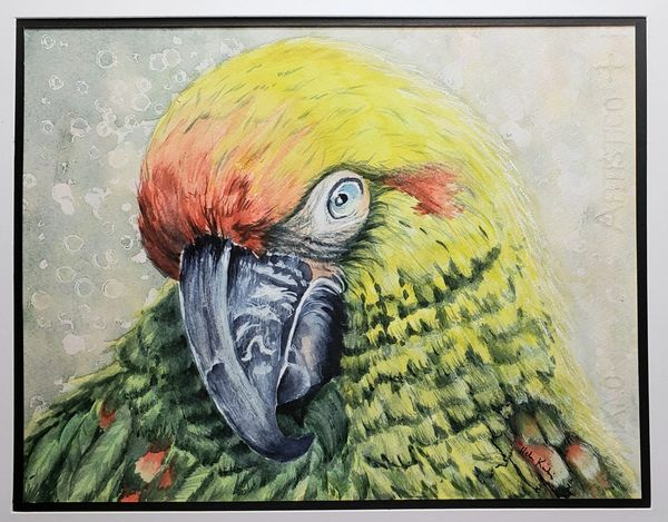 Pretty Bird, 2022 (14x11 Watercolor)